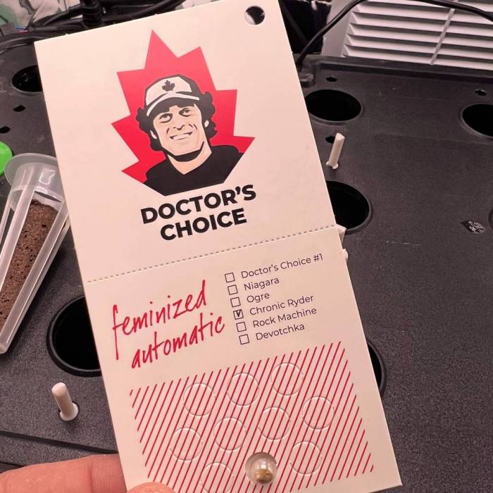 Chronic Ryder in my wardrobe. Week 0