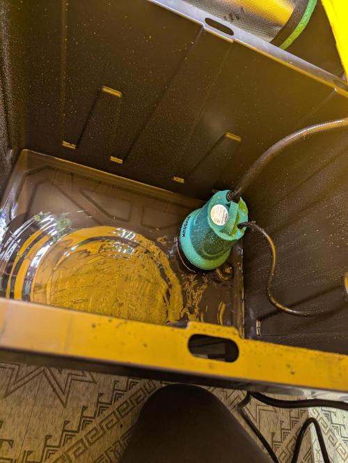 Pepe Silva and Sour Cherry Diesel. Week 0 - sump