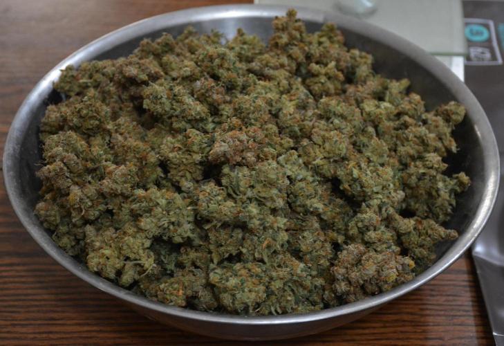 Desfrán in Hydro (DWC). Week 19