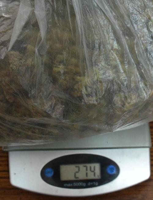 Desfrán in Hydro (DWC). Week 19 - Bag weight tared.