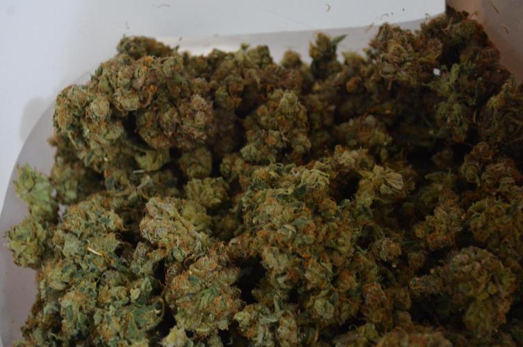 Desfrán in Hydro (DWC). Week 19