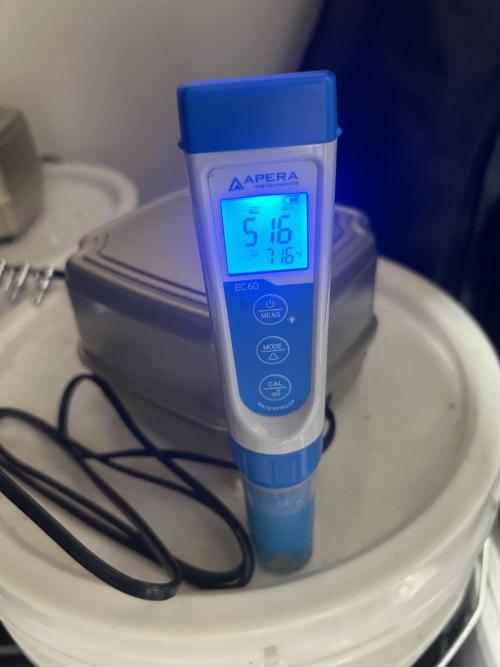 Blue Dream in Hydro (DWC). Week 9