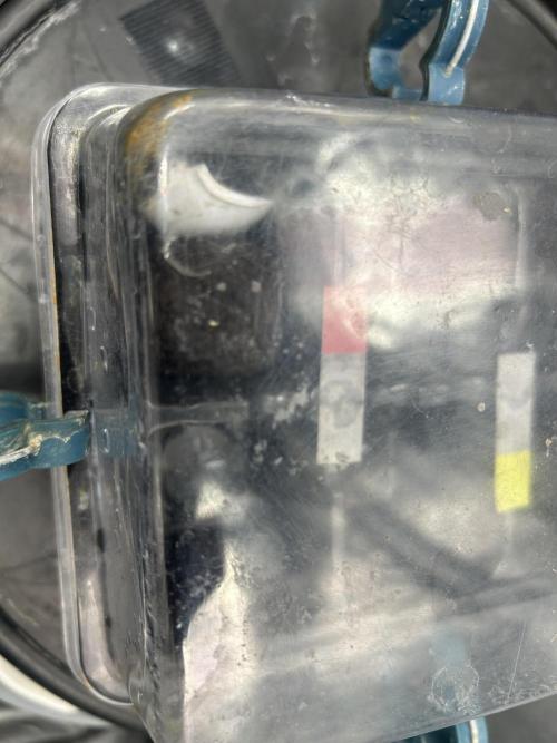 Strawberry Cough in Hydro (DWC). Week 0