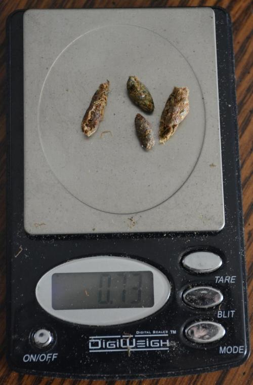 Ice Cream Cake (DWC). Week 23