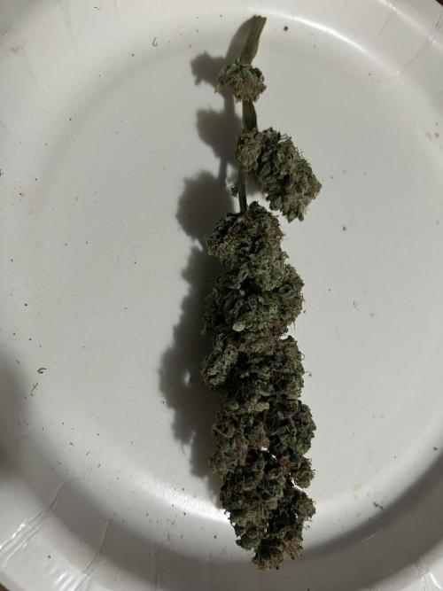 Ice Cream Cake (DWC). Week 23