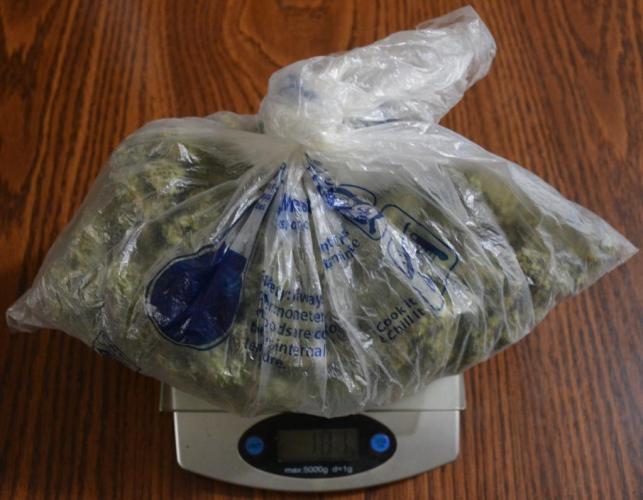 White Rhino (DWC). Week 14 - Bag weight tared.