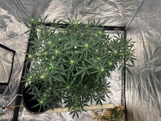 The one that doesn’t exist. Week 8