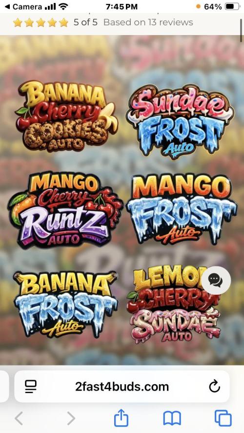 Unreleased champions mix. Week 0