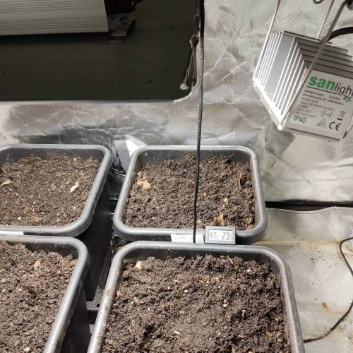 4 versch. Autos im Autopot. Week 0 - Ich hoffe es wird nicht zu kalt.