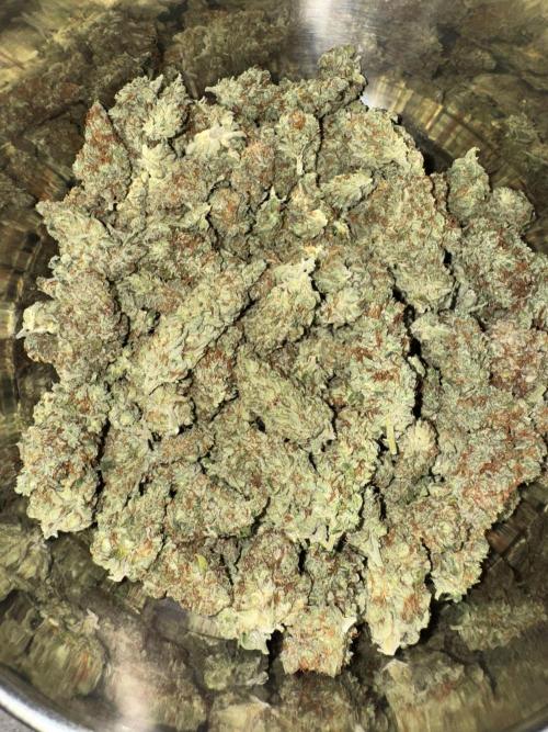 Jack Herer Sensi Seeds 3x (120x60). Week 10