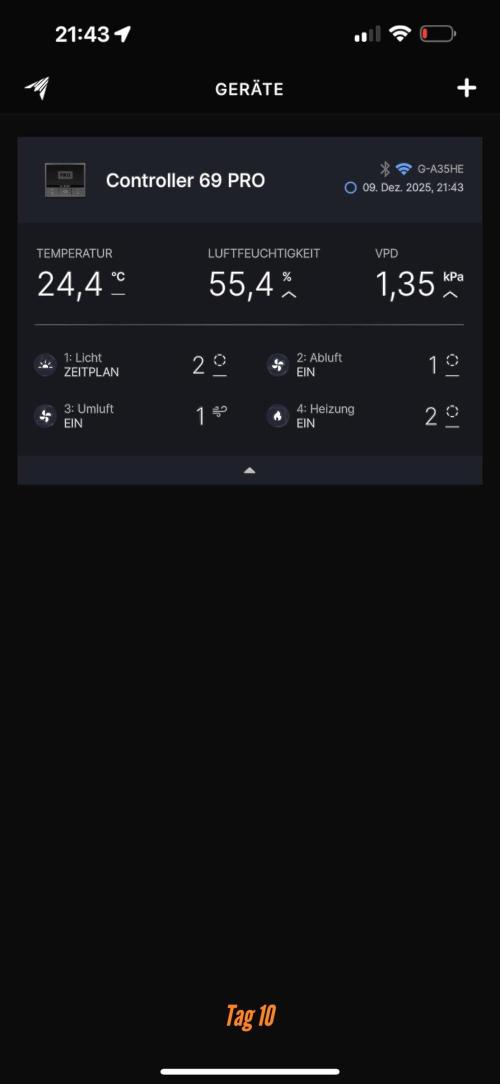 Jack Herer Sensi Seeds 3x (120x60). Week 2