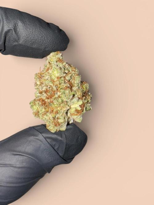 Jack Herer Sensi Seeds 3x (120x60). Week 10 - Just messing around with AI backgrounds