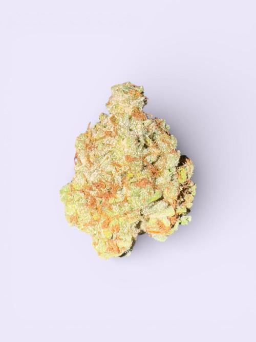 Jack Herer Sensi Seeds 3x (120x60). Week 10 - Just messing around with AI backgrounds