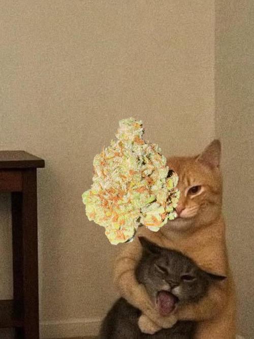 Jack Herer Sensi Seeds 3x (120x60). Week 10 - Just messing around with AI backgrounds
