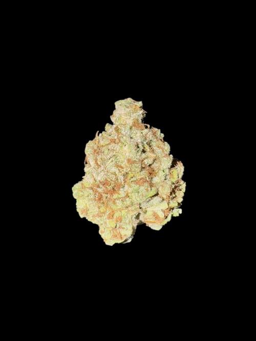 Jack Herer Sensi Seeds 3x (120x60). Week 10