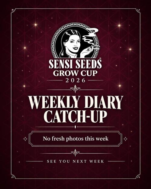 Garlic Gas Fem. Week 4