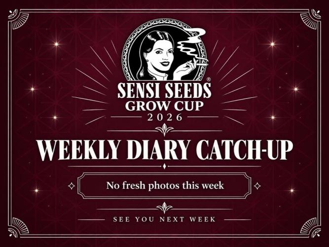 Garlic Gas Fem. Week 9