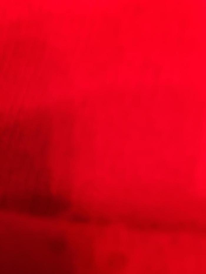 Bad wizard trees seeds nerdz,no reply. Week 1 - Wack seeds wack breeder... only price is high...