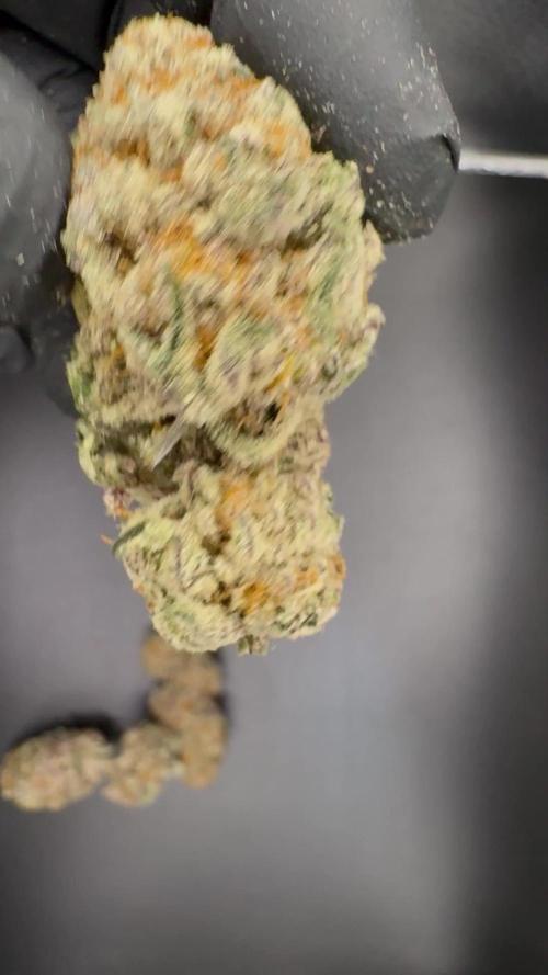 Délicieux biscuits 🍪