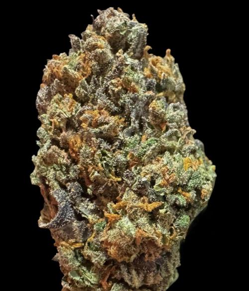 Strawberry cheesecake. Week 11