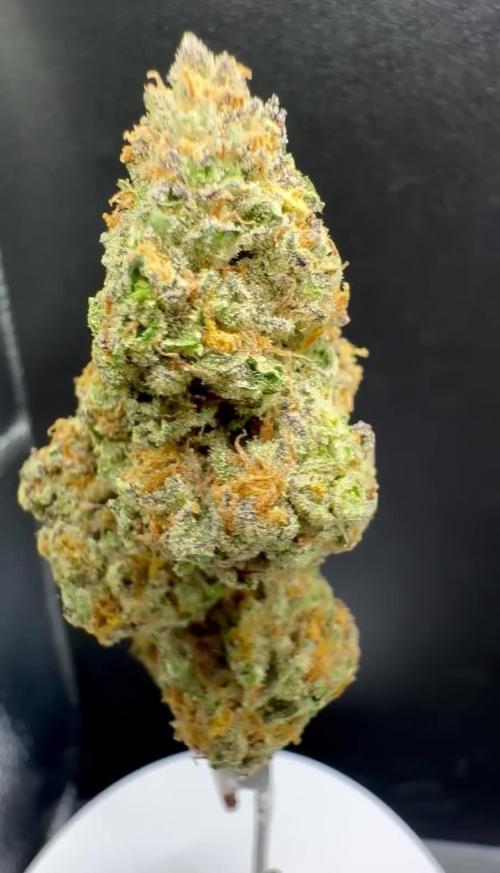 Délicieuse Cookies/out