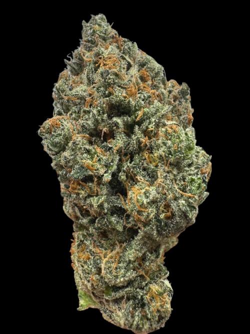 LSO:Purple punch Auto. Week 12