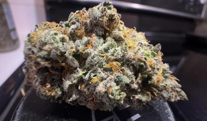 LSO:Purple punch Auto. Week 12