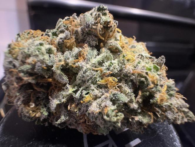 LSO:Purple punch Auto. Week 12