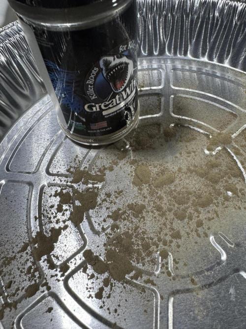 Animal Face. Week 10