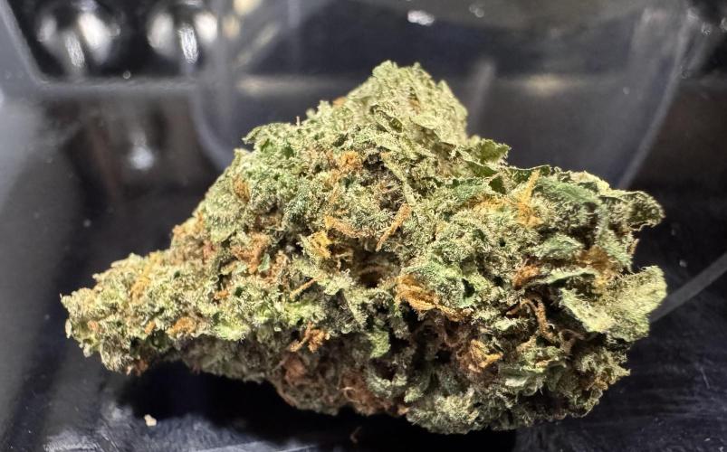 SuperBoof/clone/LSO. Week 11