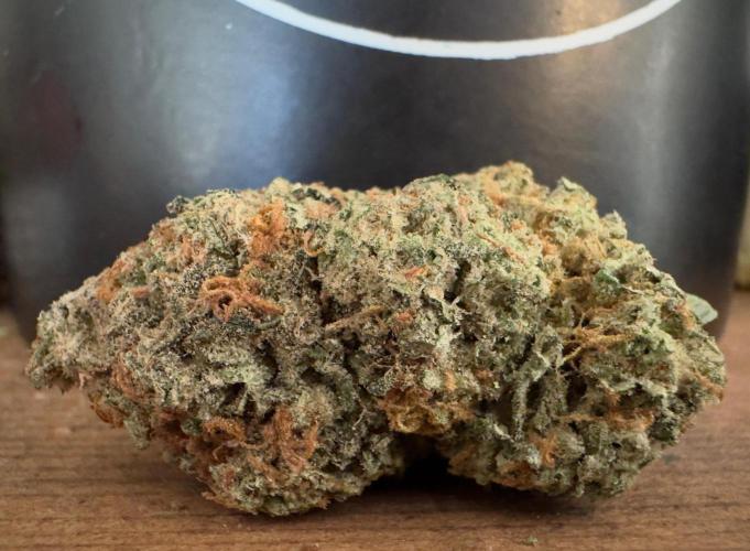 Auto Opiom #2. Week 12