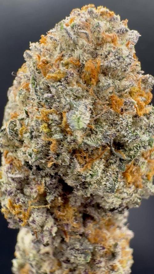 Délicieux biscuits 🍪