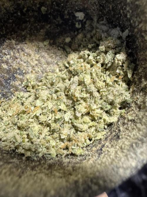 Pablo Escobar Auto. Week 13