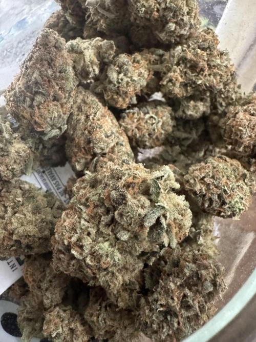 Auto Opiom #2. Week 12