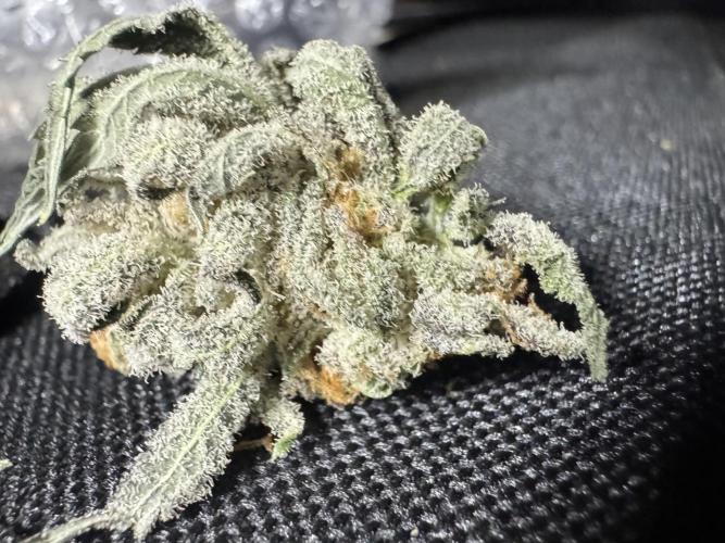 Divine Rapier. Week 17