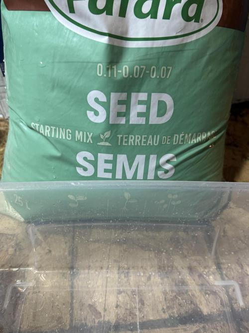 DeliciouS Cookies 11x. Week 0