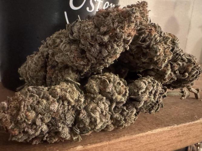 Divine Rapier. Week 18