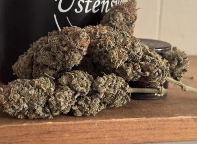 Divine Rapier. Week 18