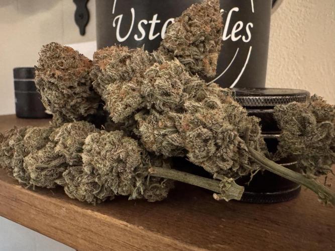 Divine Rapier. Week 18