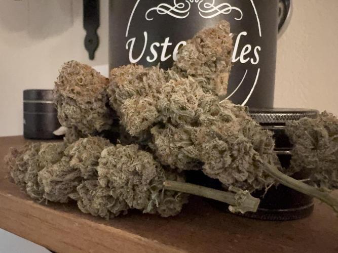 Divine Rapier. Week 18