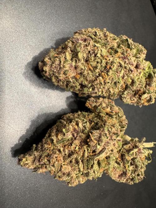 Animal Face. Week 20