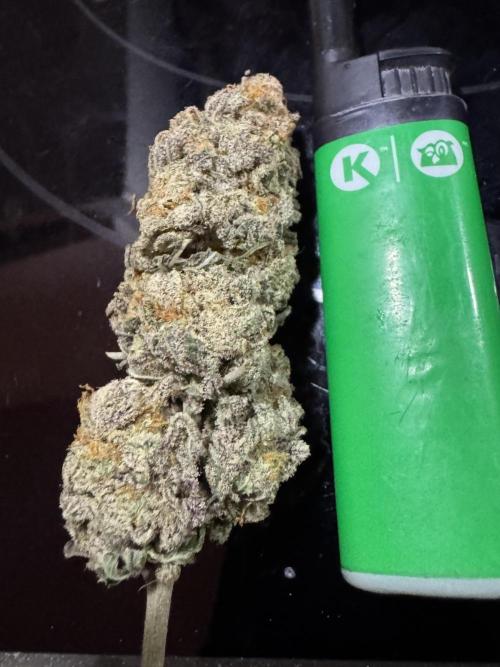 Divine Rapier. Week 18