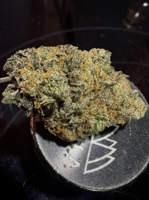 MAC. Week 17