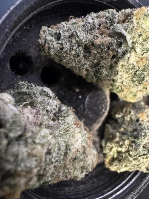Divine Og Kush Bio. Week 18