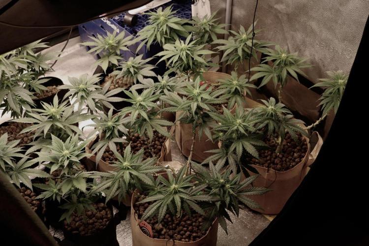 Sunset Sherbet Go Fast. Week 16 - Canon R100 🤔