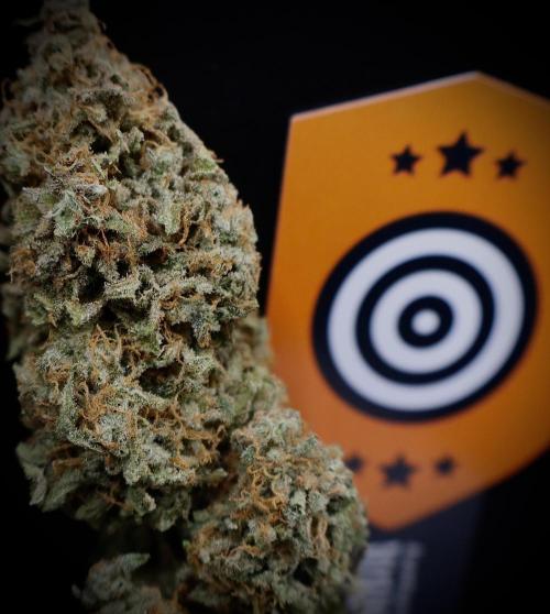 Sunset Sherbet Go Fast. Week 22