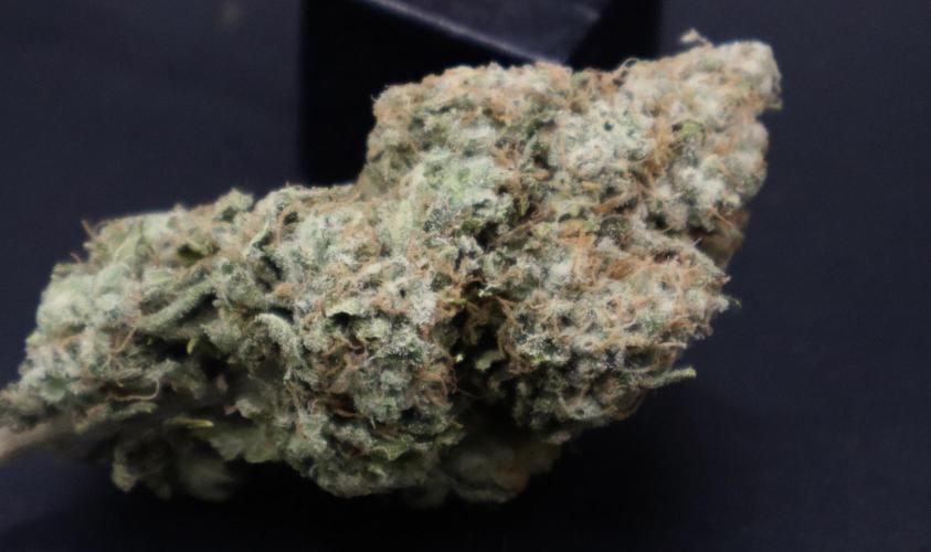 Sunset Sherbet Go Fast. Week 22