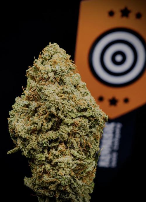 Sunset Sherbet Go Fast. Week 22