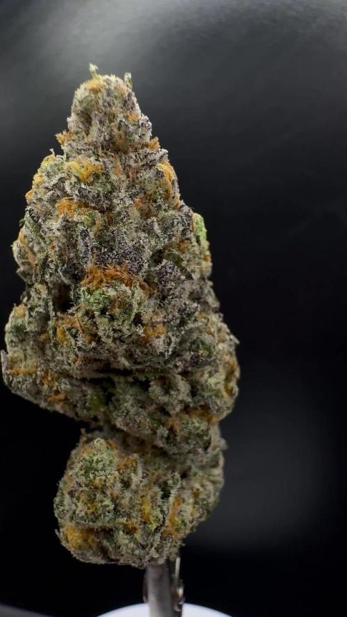 Delicious Cookies #3