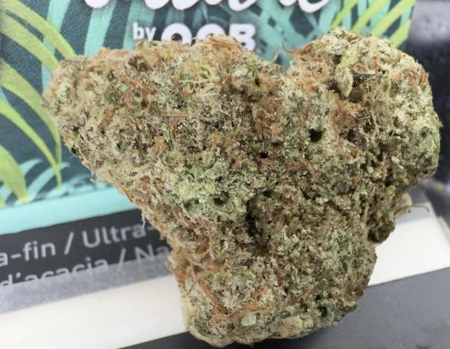 Sunset Sherbet Go Fast. Week 22